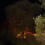 Party Fotos (71/155)